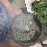 מיקה קובל מעגל נשים